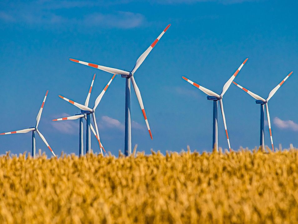 Die IG Windkraft fordert einen Ausbau der Erneuerbaren Energie.