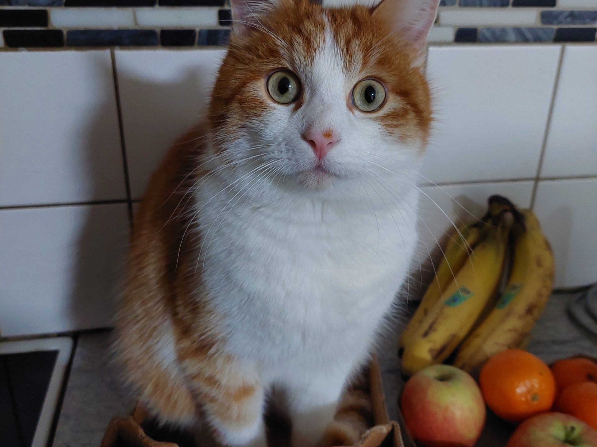 Krümel