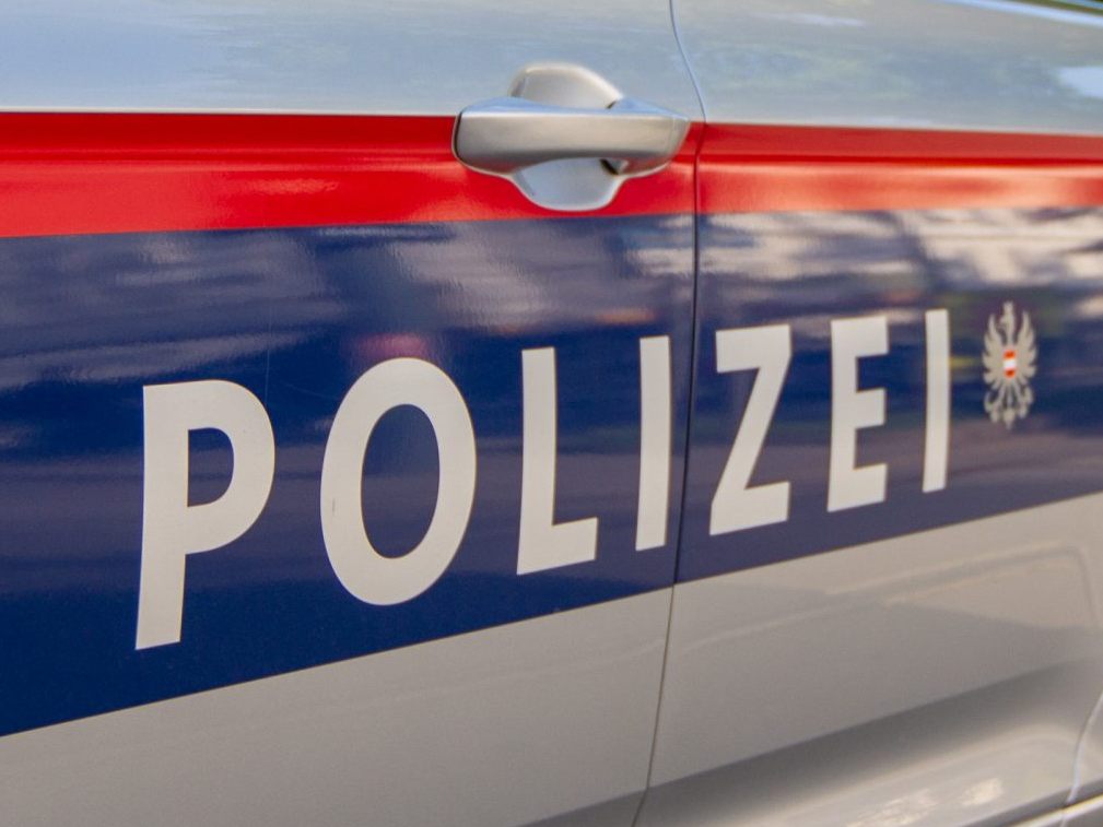 Die Polizei nahm die Jugendlichen nach dem nach räuberischen Diebstahl fest.