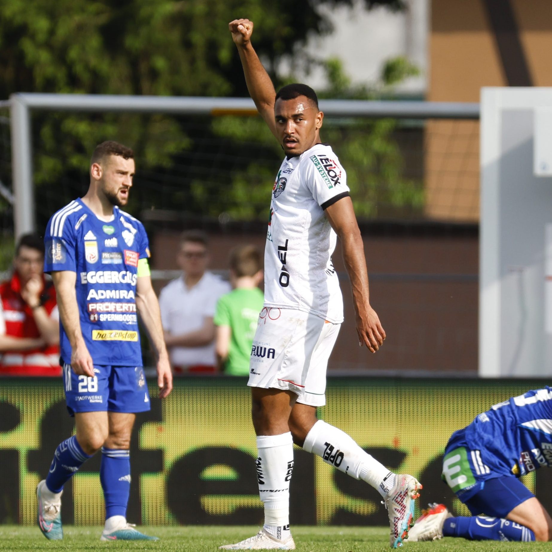 Der früherer WAC-Angreifer Malone soll nun für die Veilchen treffen.