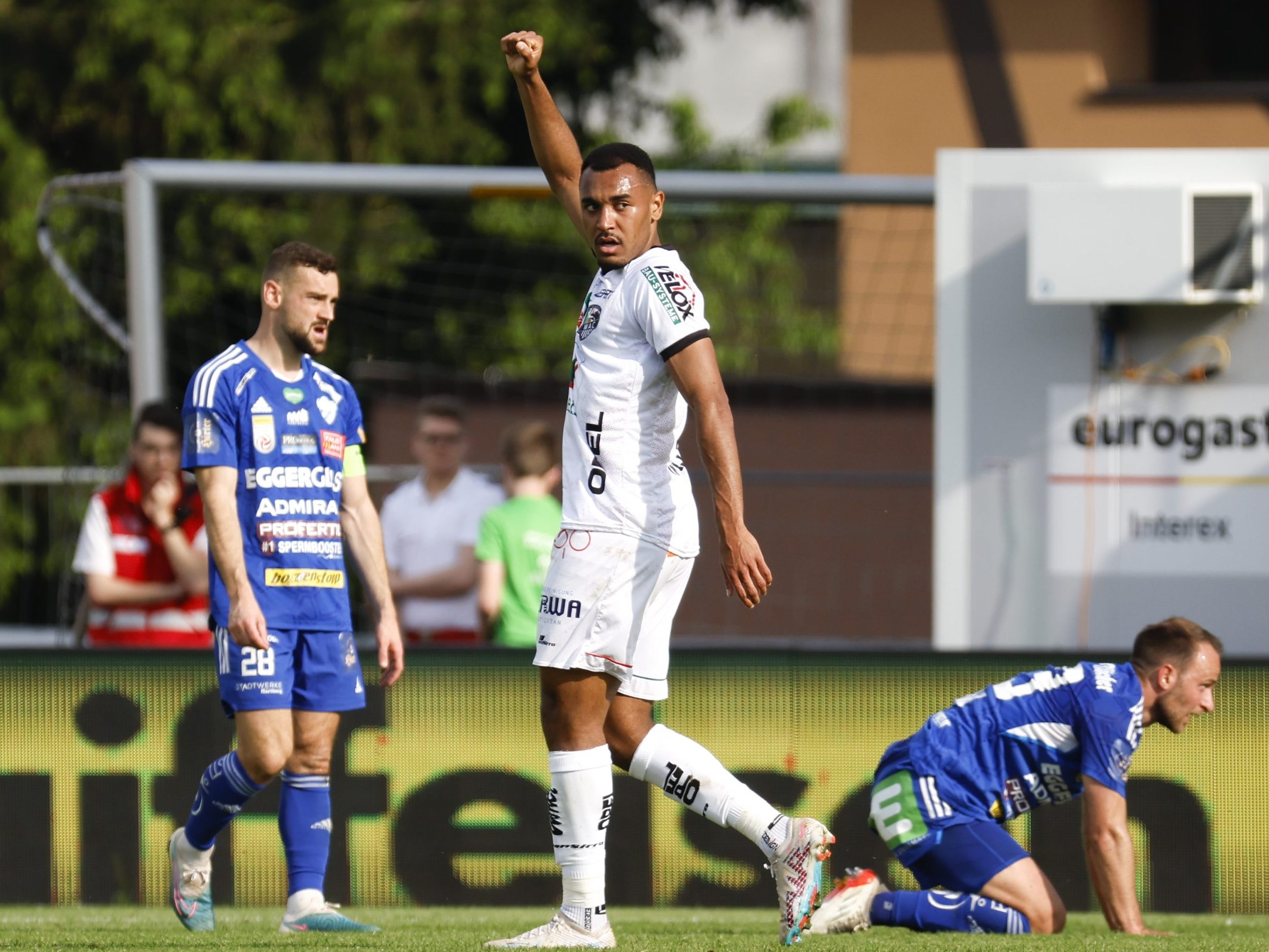 Der früherer WAC-Angreifer Malone soll nun für die Veilchen treffen.