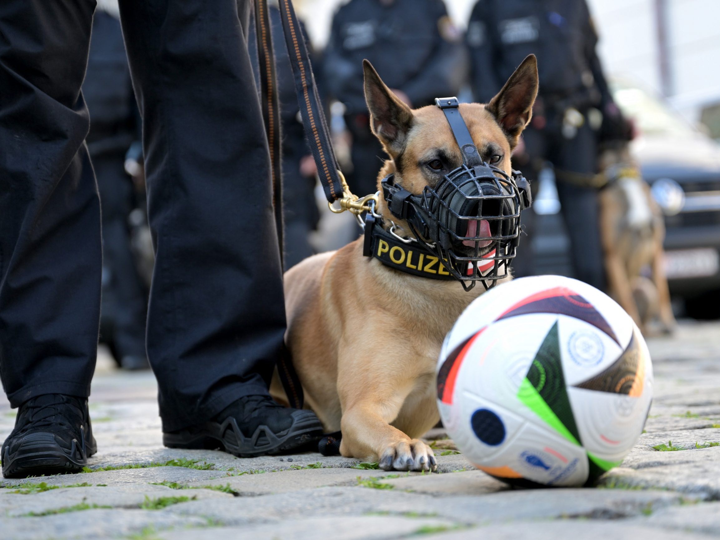 Während der Fußball-EM sorgt die Wiener Polizei für Sicherheit in den Fanzonen.