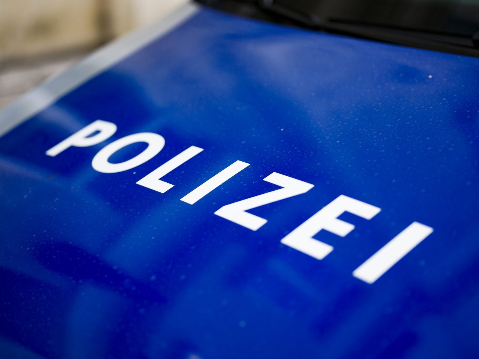 Die Wiener Polizei hat zwei mutmaßliche Räuber geschnappt.
