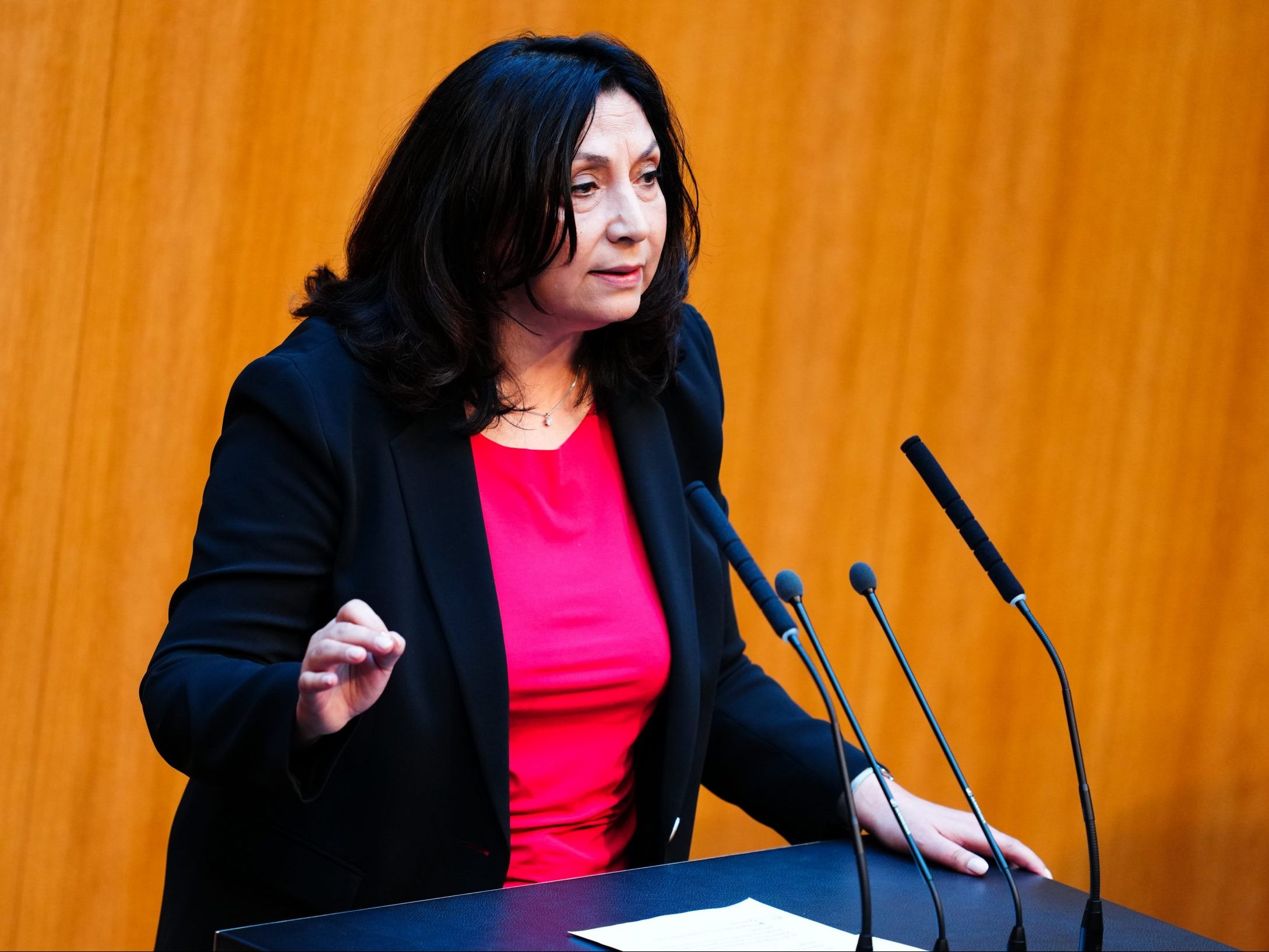 SPÖ-Justizsprecherin Selma Yildirim kritisiert die geplante Handy-Sicherstellung.