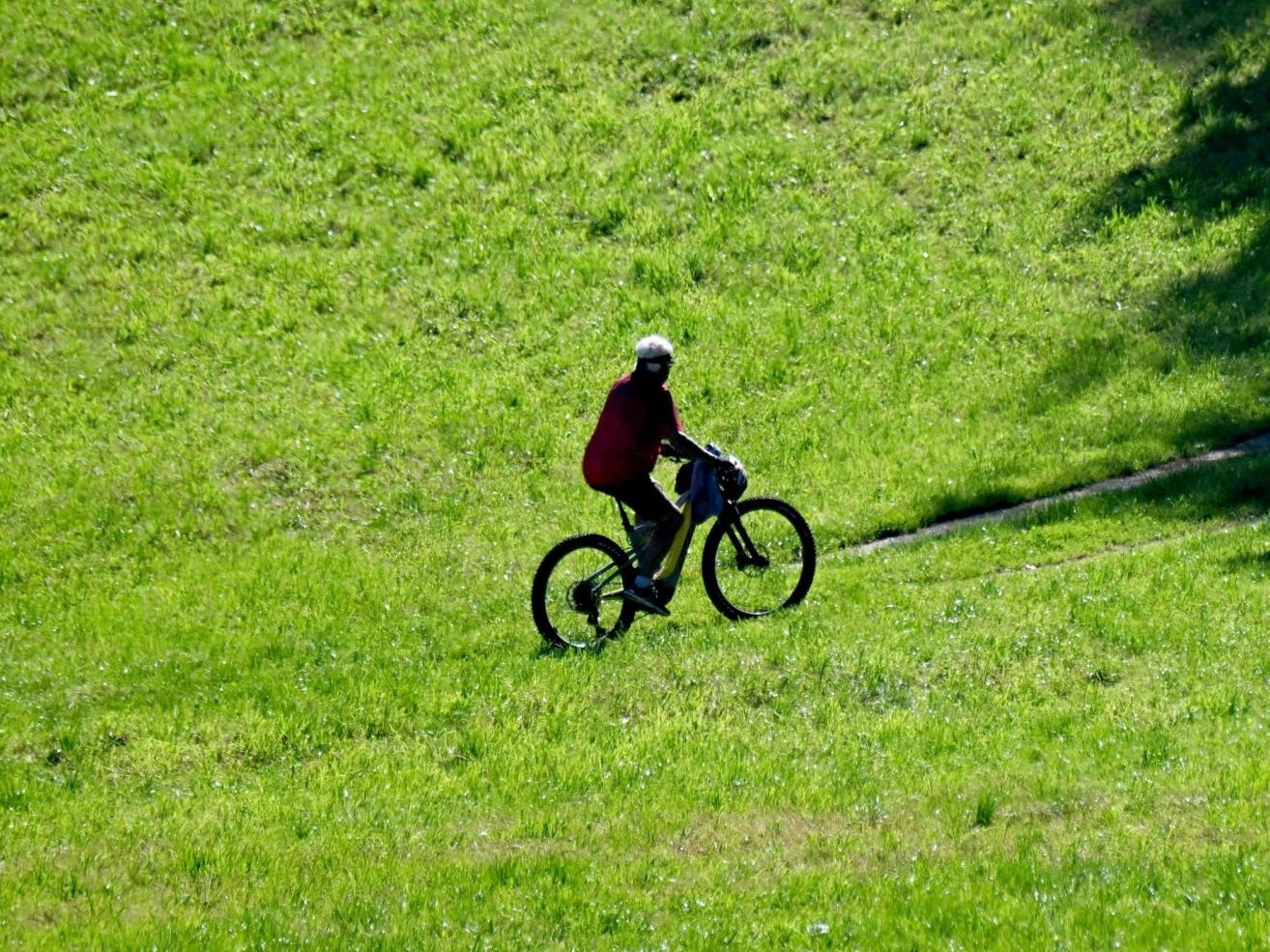 Das Land Niederösterreich plant einen Fährbetrieb für den Radtourismus.