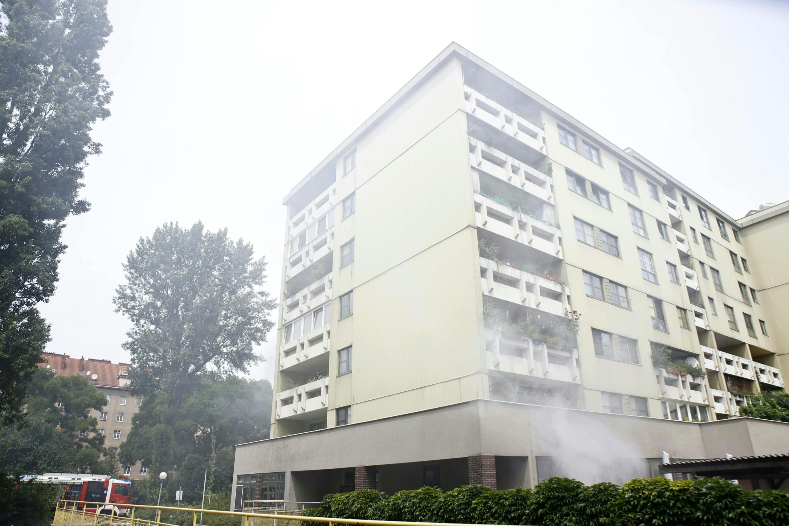 © APA/TOBIAS STEINMAURER