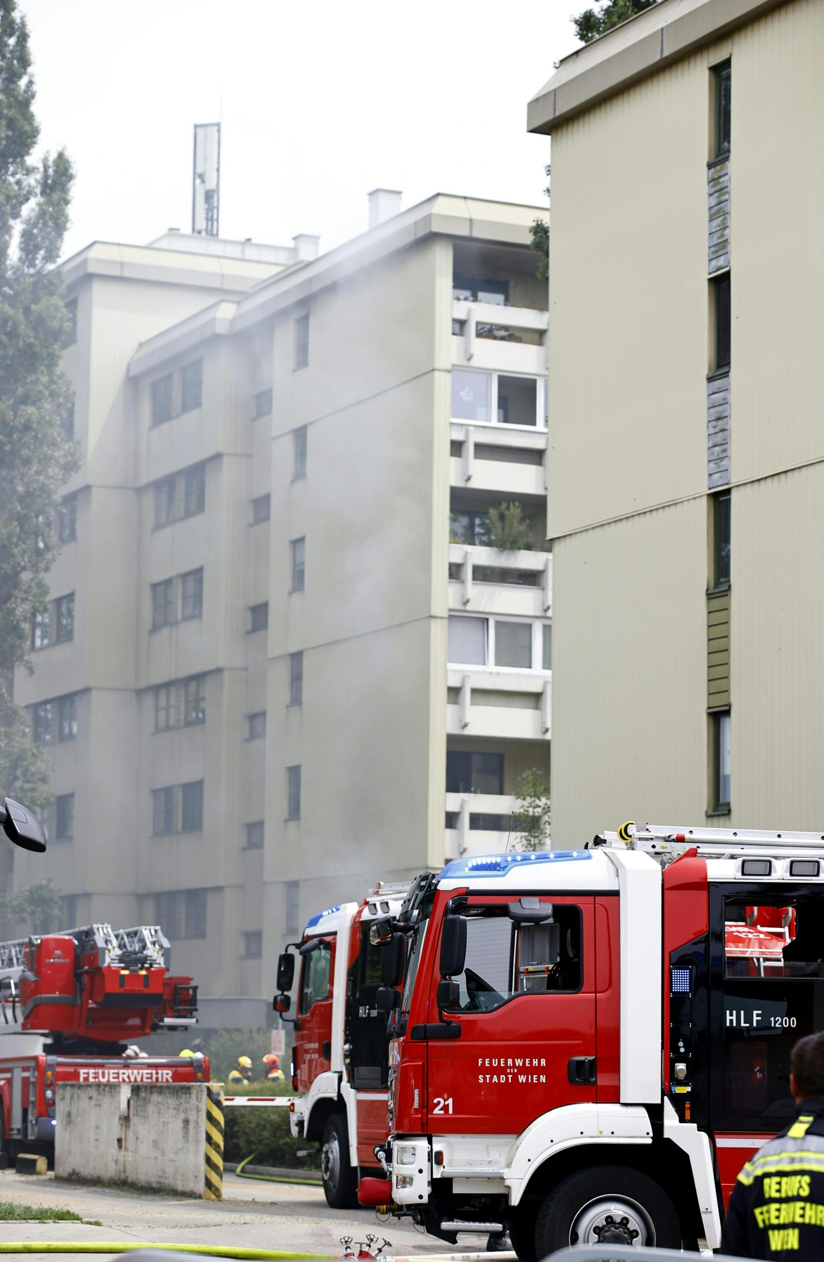 © APA/TOBIAS STEINMAURER