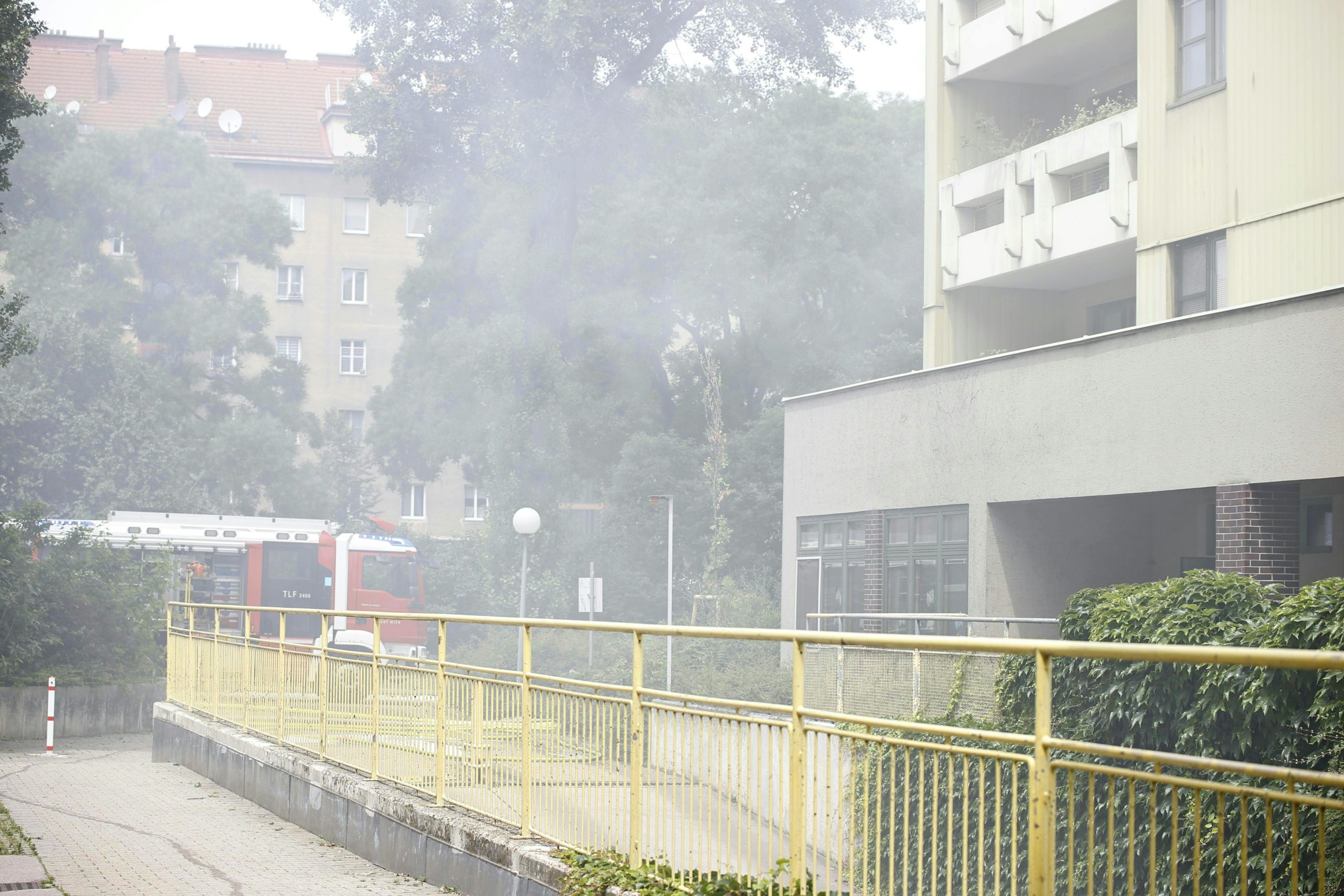 © APA/TOBIAS STEINMAURER