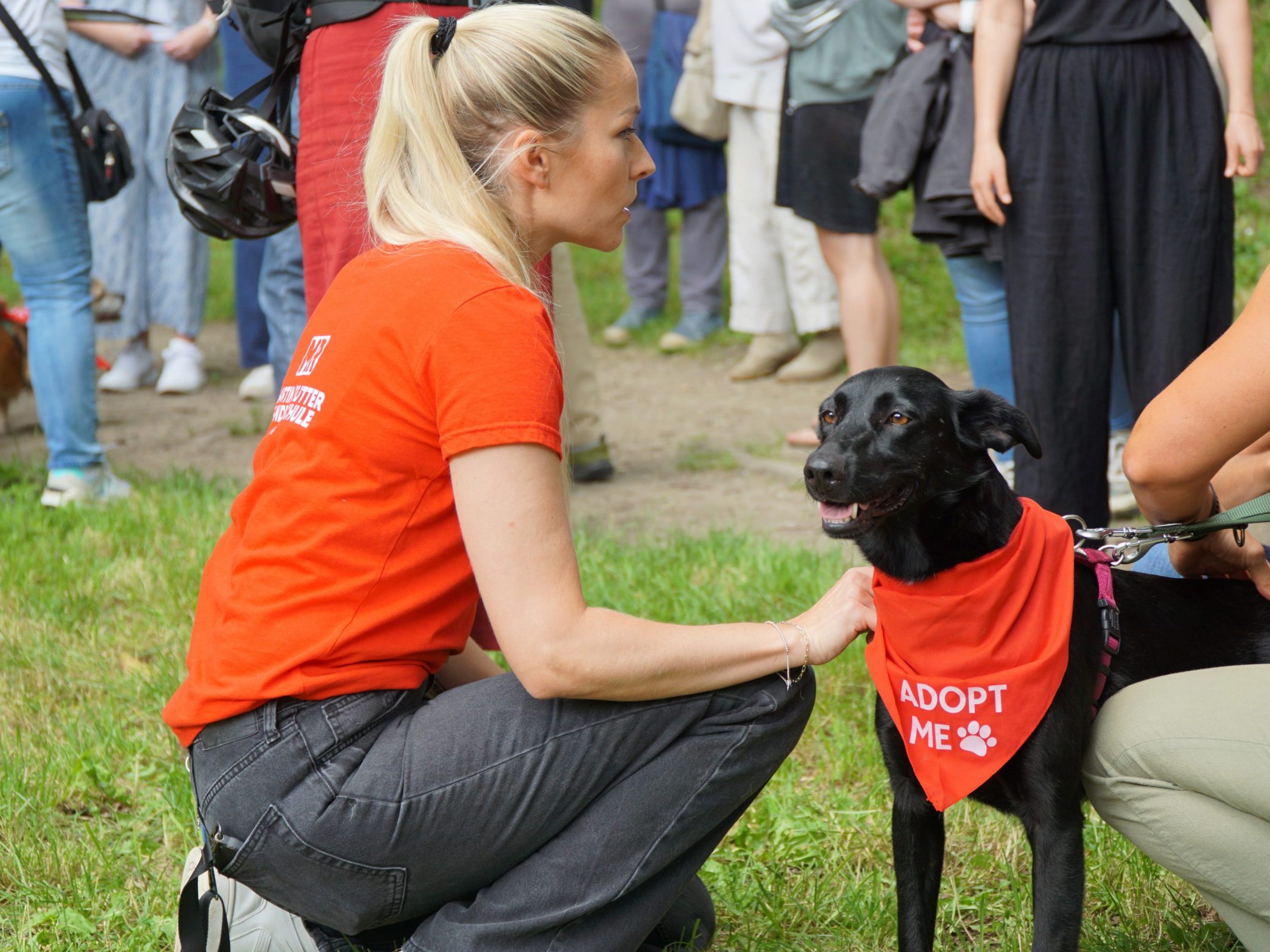 In Wien fand am Wochenende ein "Bark Date" statt. In Wien fand am Wochenende ein "Bark Date" statt.