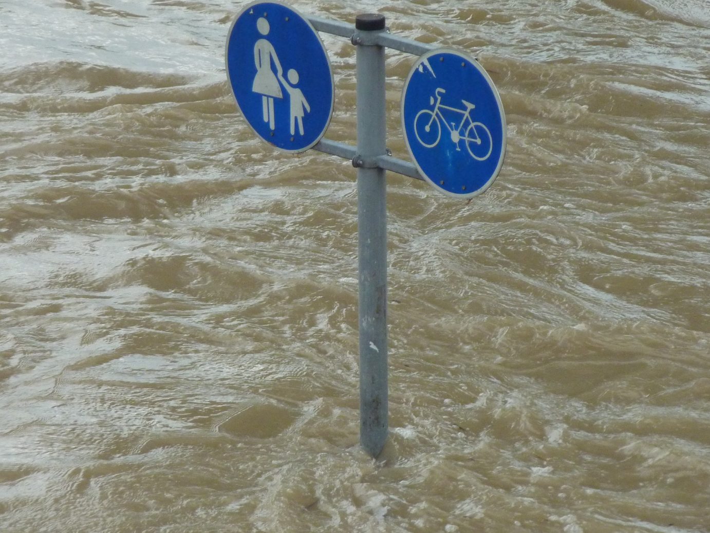 Je nach Witterungsverlauf und weiterer Niederschläge im Westen könnte die Donau im Gemeindegebiet überlaufen.