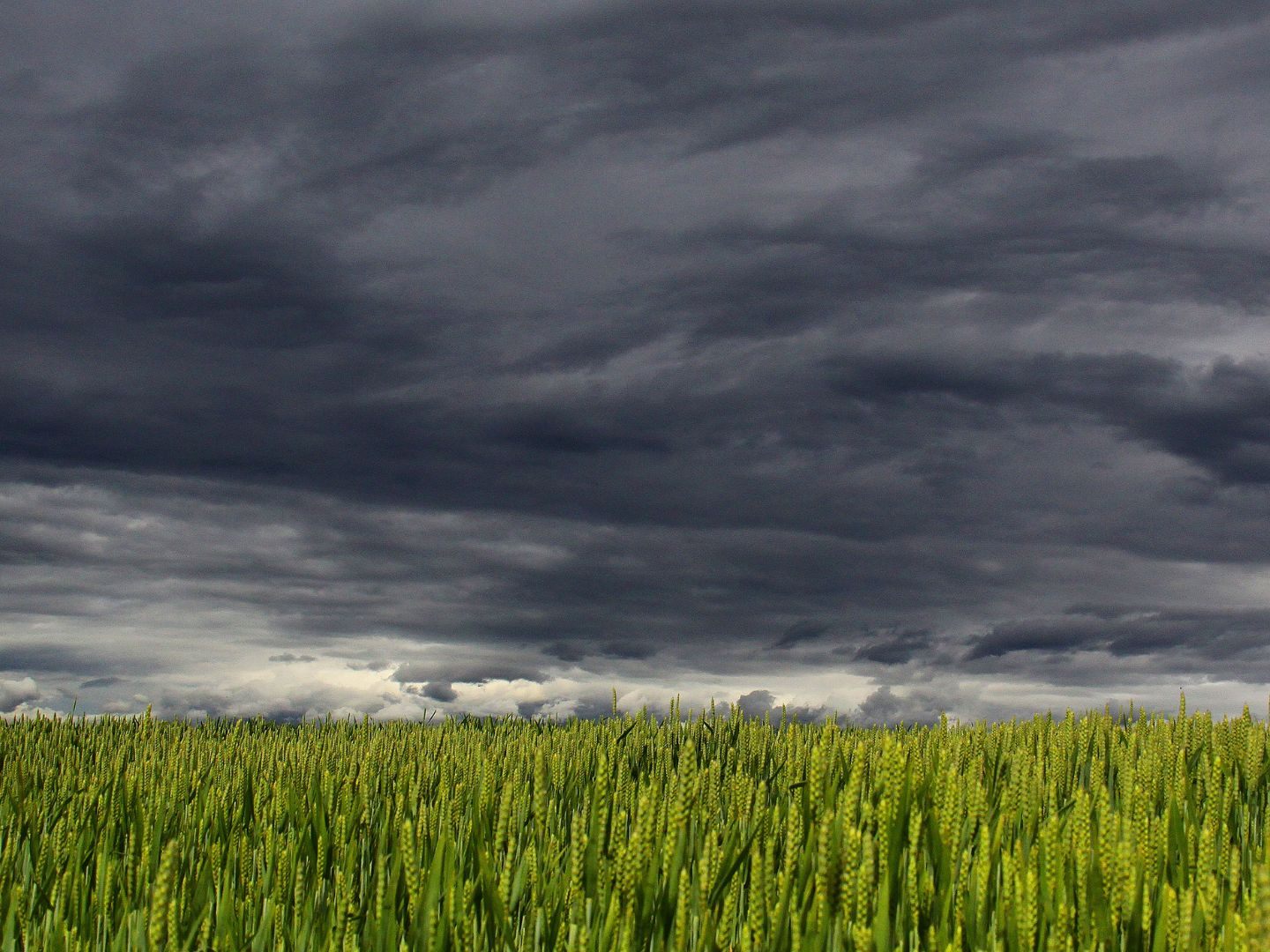 Der Klimawandel bringt höhere und feuchtere Gewitterwolkentürme.