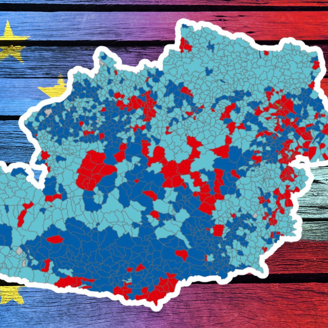 Die FPÖ legte bei der EU-Wahl in fast allen Gemeinden zu.