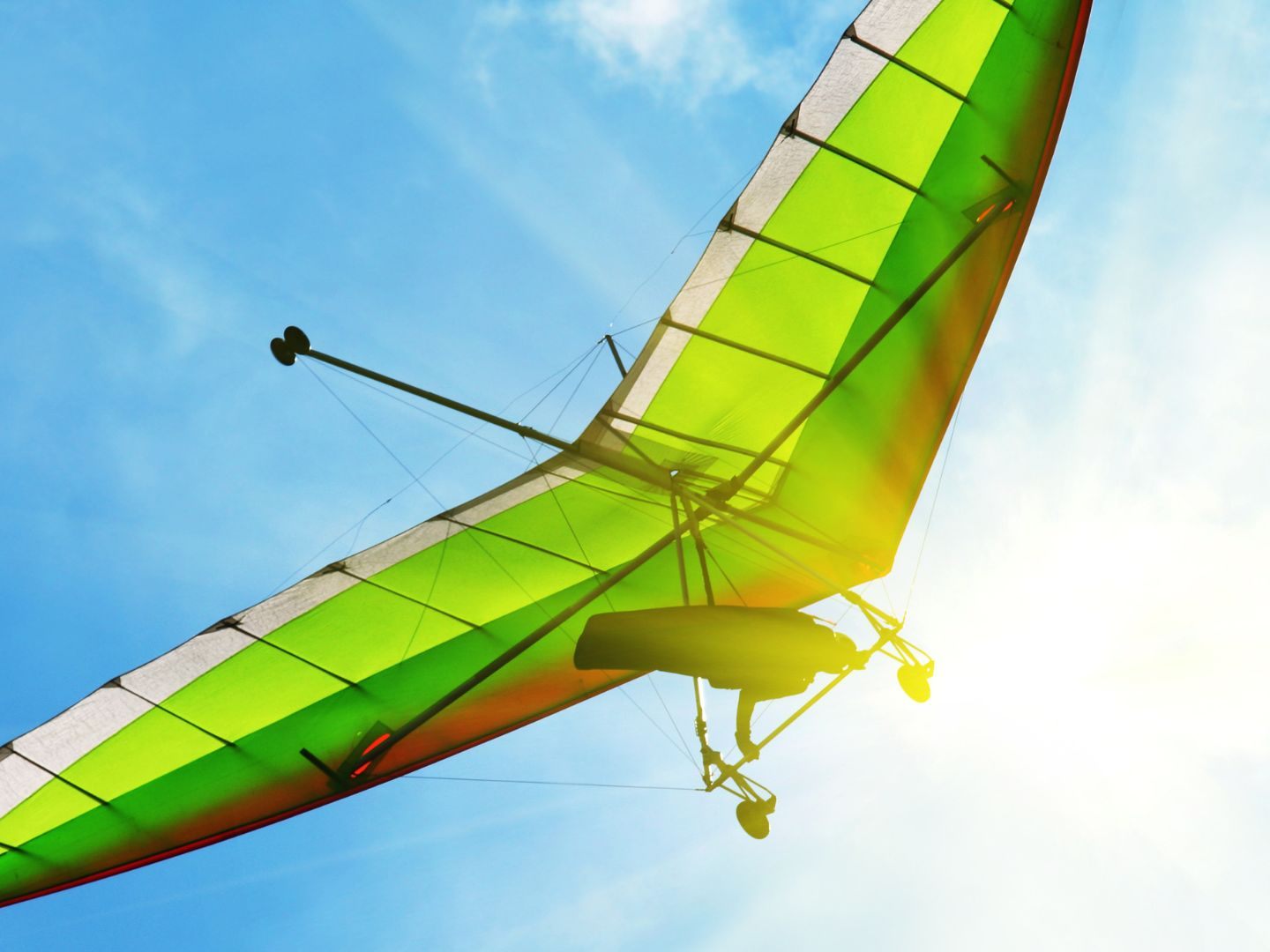 Nach wenigen Flugminuten stürzte der Wiener plötzlich ab.
