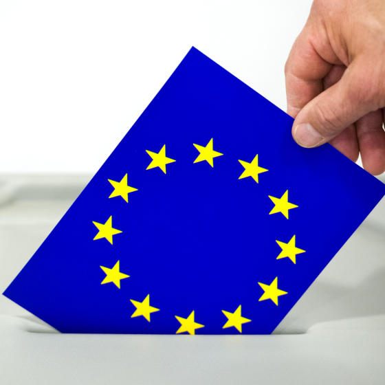 Am Sonntag, den 9. Juni, findet die EU-Wahl statt.