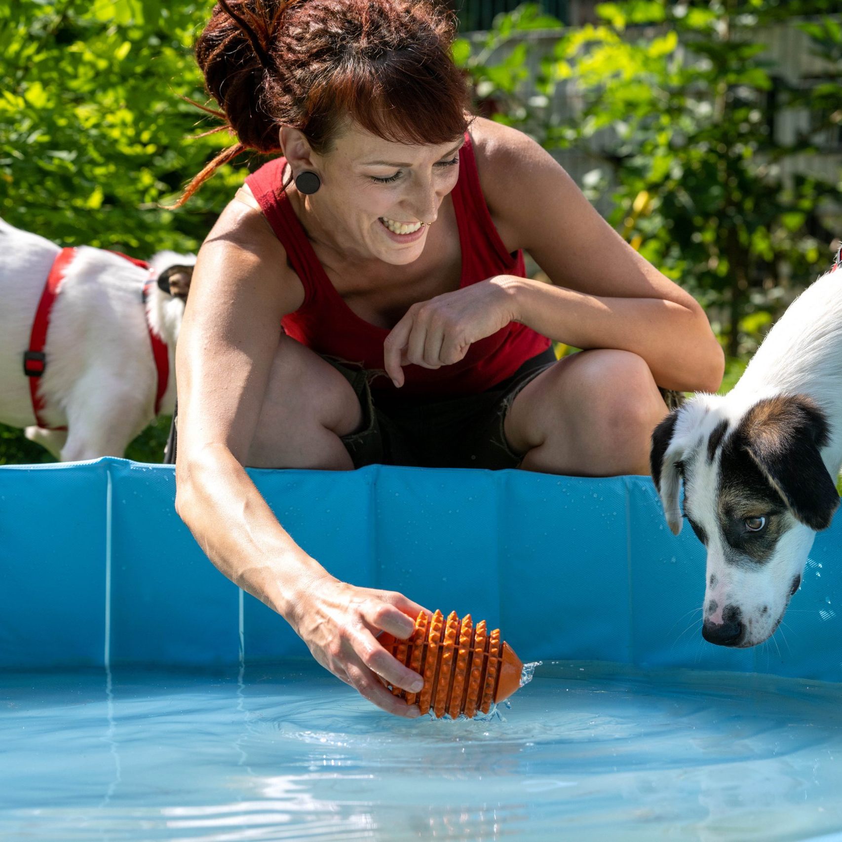 Schnauze voll von der Hitze? Dann ab in die "Dog Zone".