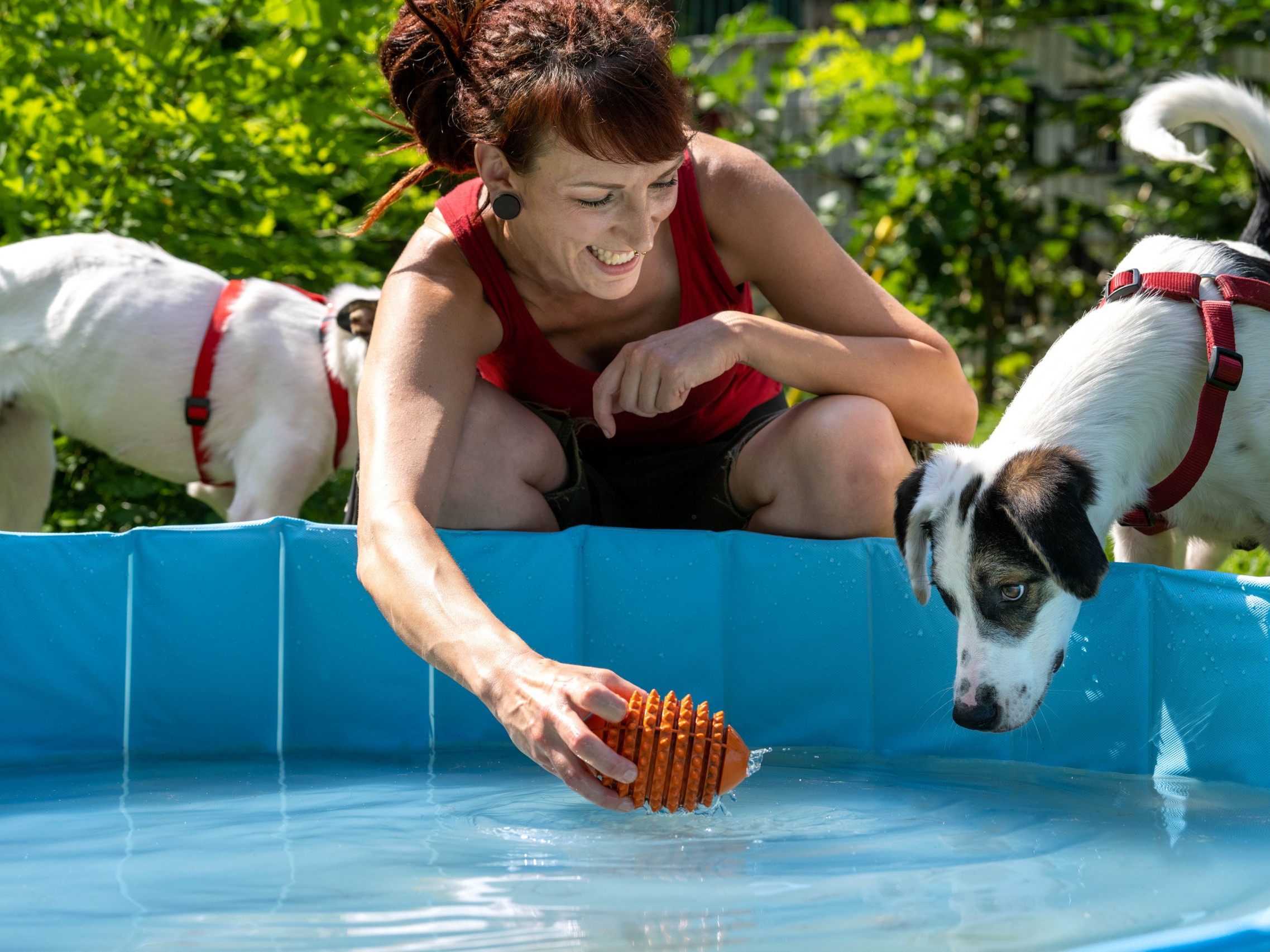 Schnauze voll von der Hitze? Dann ab in die "Dog Zone". Schnauze voll von der Hitze? Dann ab in die "Dog Zone".