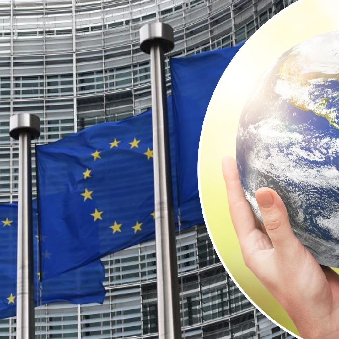 Die Entscheidung über das Verbot von Neuwagen mit Verbrennungsmotor ab 2035 könnte nach den bevorstehenden EU-Wahlen abgeschwächt werden.