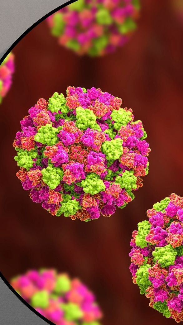 Am Gardasee mussten sich mehrere Personen aufgrund von Noroviren in Behandlung begeben.