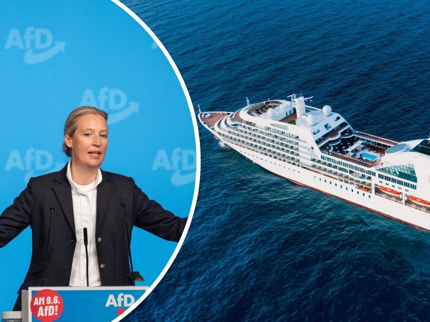 Georg Ehrmann, Deutschland-Chef des Internationalen Verbands der Kreuzfahrtbranche (CLIA), kündigte in Hamburg an, dass die AfD zur Abgabe einer Unterlassungserklärung aufgefordert wurde.