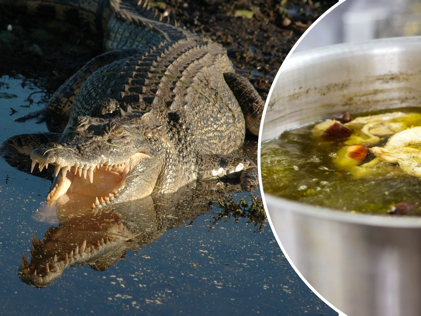 Terror-Kroko endete als Festmahl im Suppentopf. (Symbolbild)