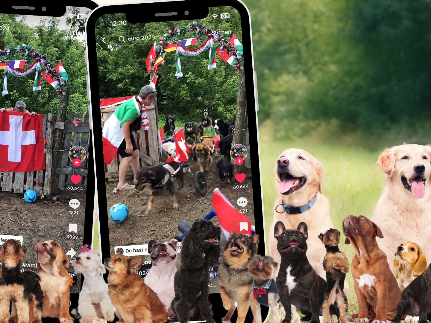 Auf einer Hunde-Ranch haben die Betreiber ein besonderes Event zur Feier der UEFA Euro organisiert.