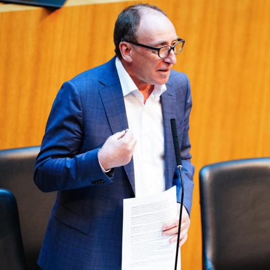 Gesundheitsminister Rauch will Abtreibungen aus dem Strafgesetz streichen.