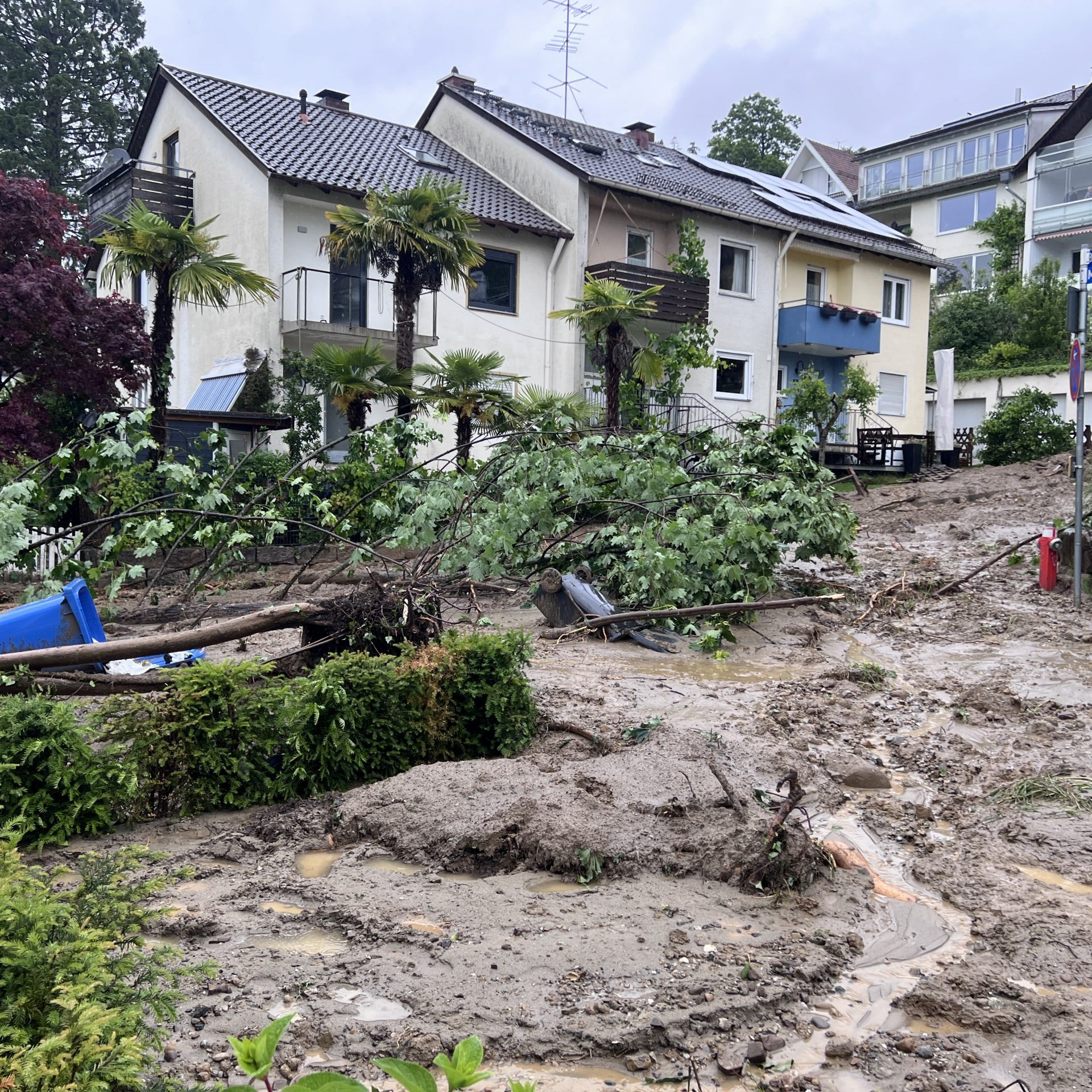 Murenabgang in Lindau.