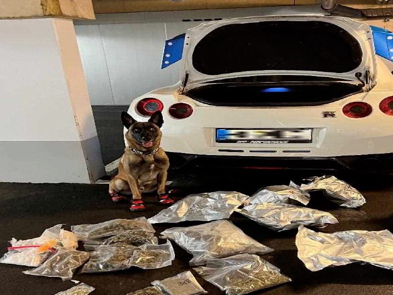 Zahlreiche Drogen wurden bei Hausdurchsuchungen sichergestellt. Zahlreiche Drogen wurden bei Hausdurchsuchungen sichergestellt.