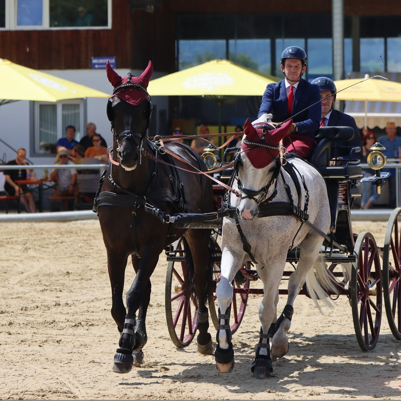 Das Kutschenfahren mit Organisator Alexander Bösch war der Renner am letzten Turniertag.