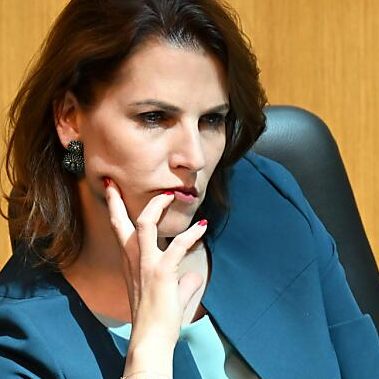 Edtstadler wurde von den Grünen kritisiert.