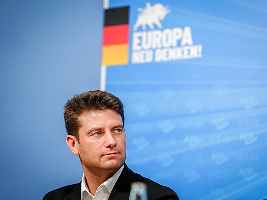 AfD-Delegationsleiter Aust soll Chef der neuen Fraktion werden.