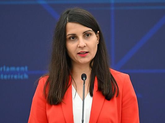 Meri Disoski warnte vor einer FPÖ-Regierungsbeteiligung. Meri Disoski warnte vor einer FPÖ-Regierungsbeteiligung.