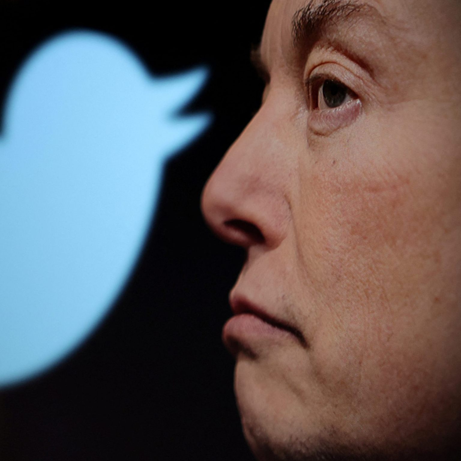Elon Musks Twitter-Nachfolger droht nach einer EU-Untersuchung: eine hohe Geldstrafe.