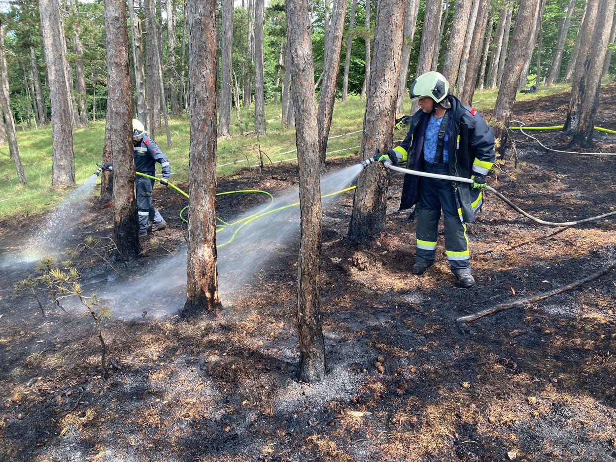 Was den Waldbrand im Bezirk Baden verursacht hatte, stand zunächst nicht fest.
