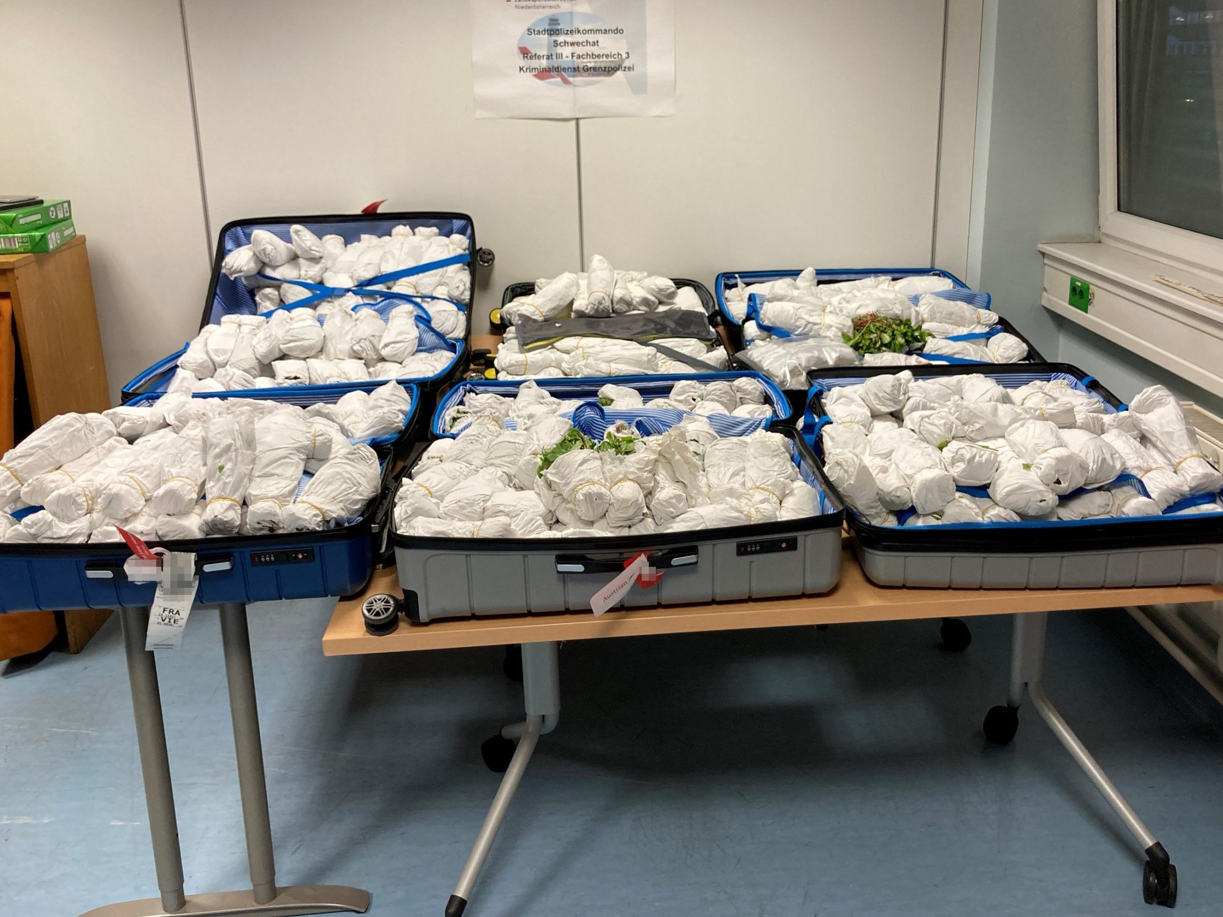 In Österreich unterliegt Khat dem Suchtmittelgesetz. In Österreich unterliegt Khat dem Suchtmittelgesetz.