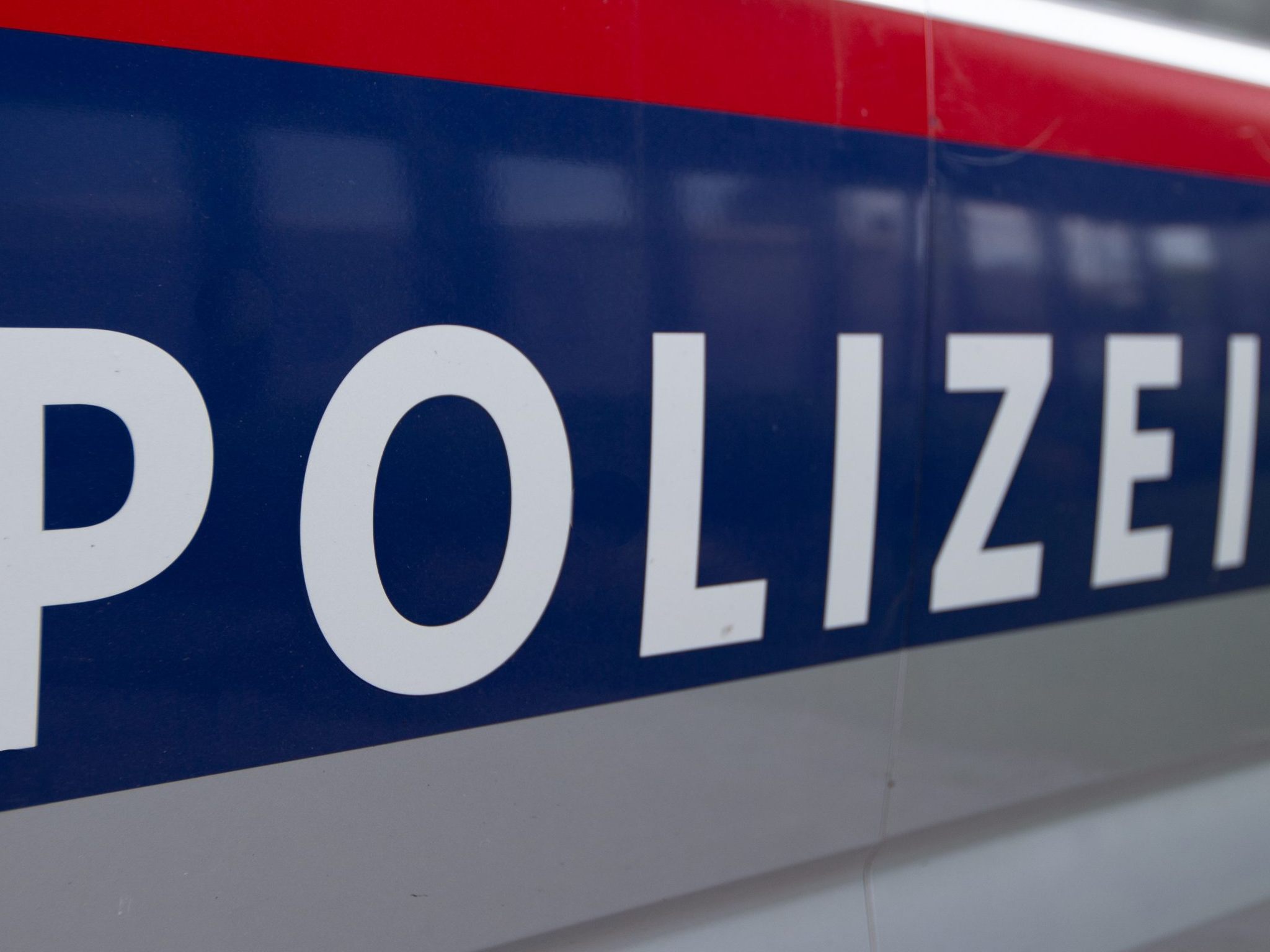 Die Wiener Polizei konnte sechs Einbrüche in Kraftfahrzeuge aufklären.