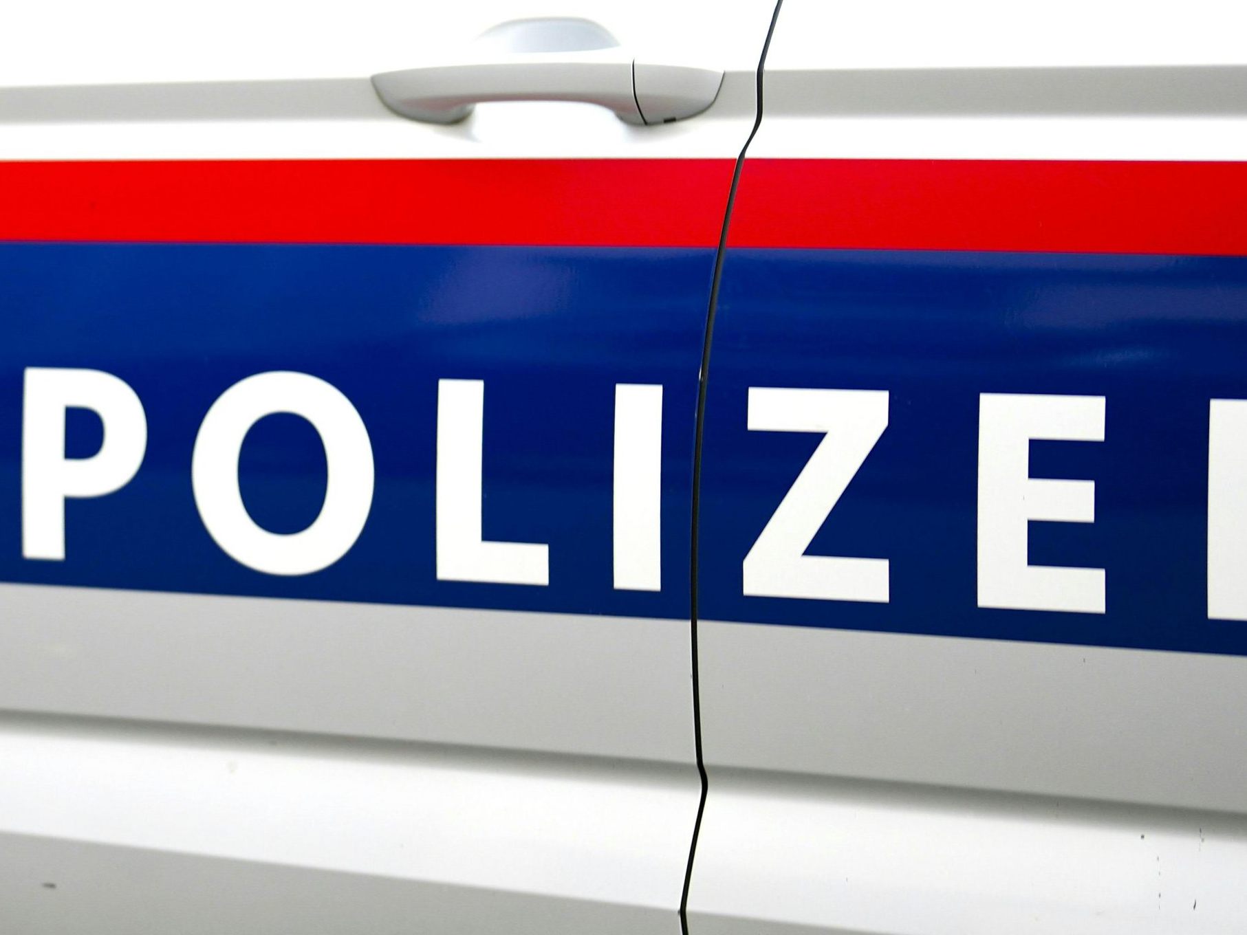 Die beiden Männer wurden auf freiem Fuß angezeigt.