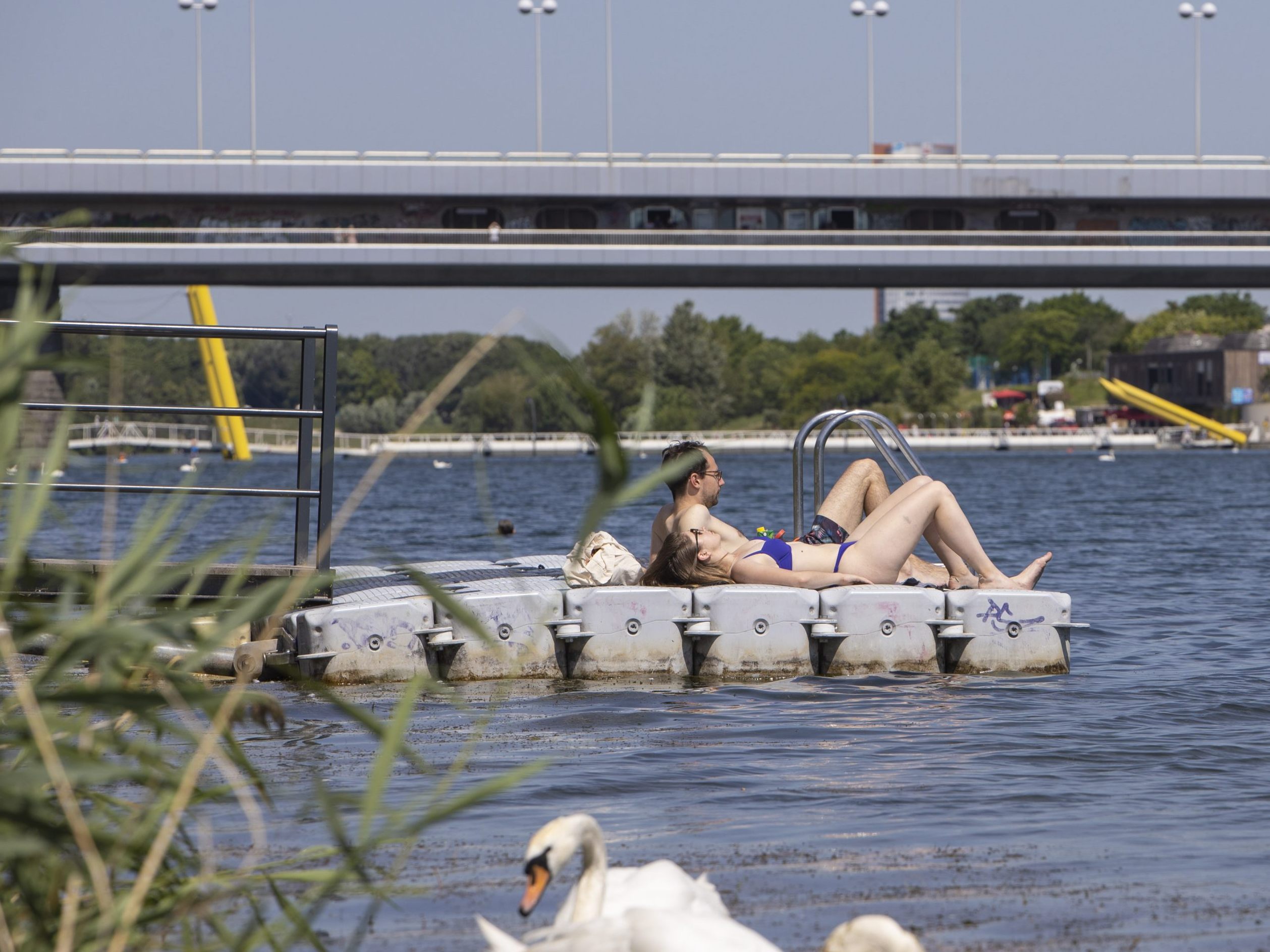 Eine neue Wasserpumpe schützt den Teich vor Austrocknung. Eine neue Wasserpumpe schützt den Teich vor Austrocknung.