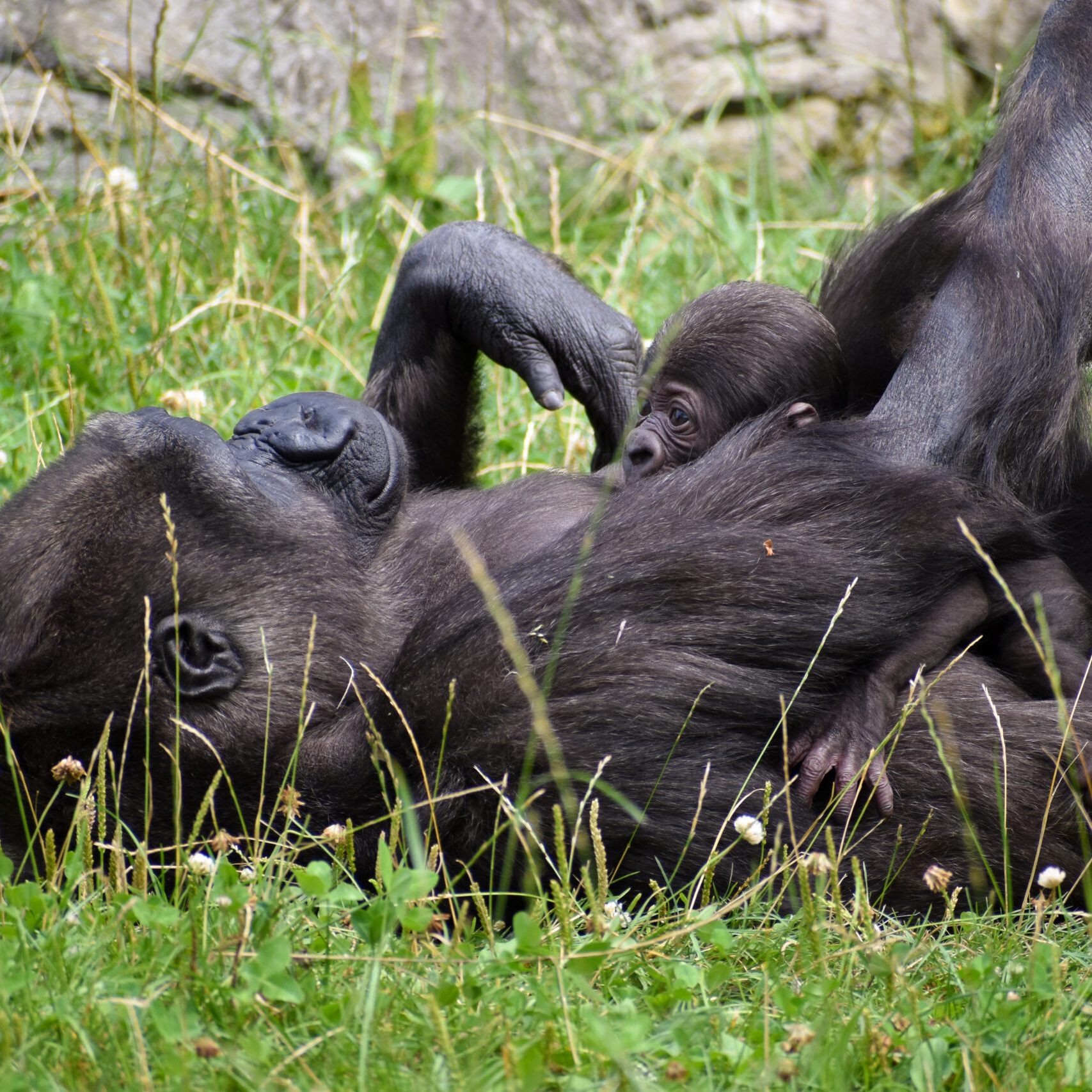 "Jabari" klammerte sich fest an seine Mutter.