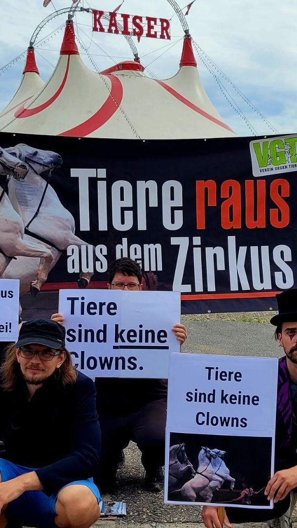 Tierschützer-Demo vor dem Zirkuszelt in Wien.