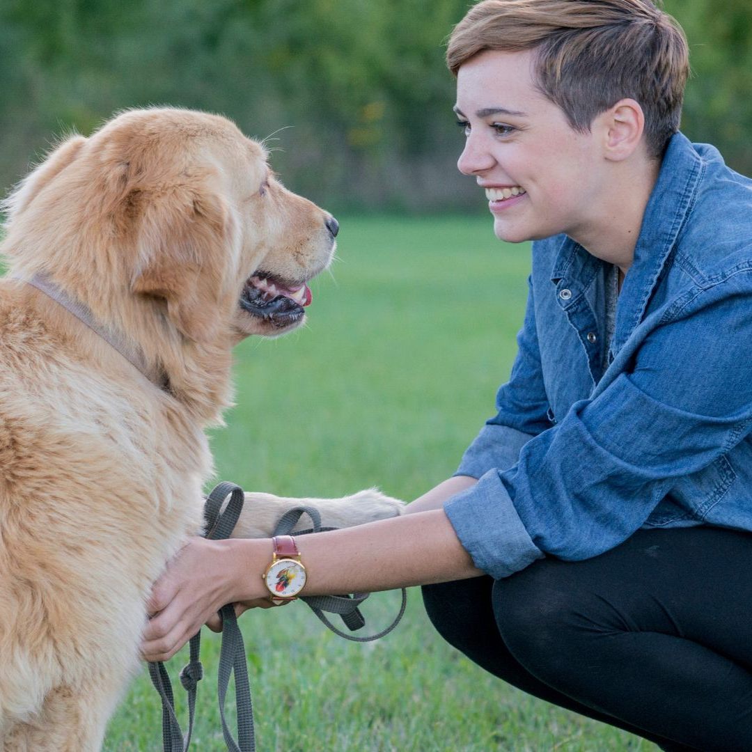 Hundehalter in Wien müssen seit fünf Jahren einen Pflichtkurs besuchen.