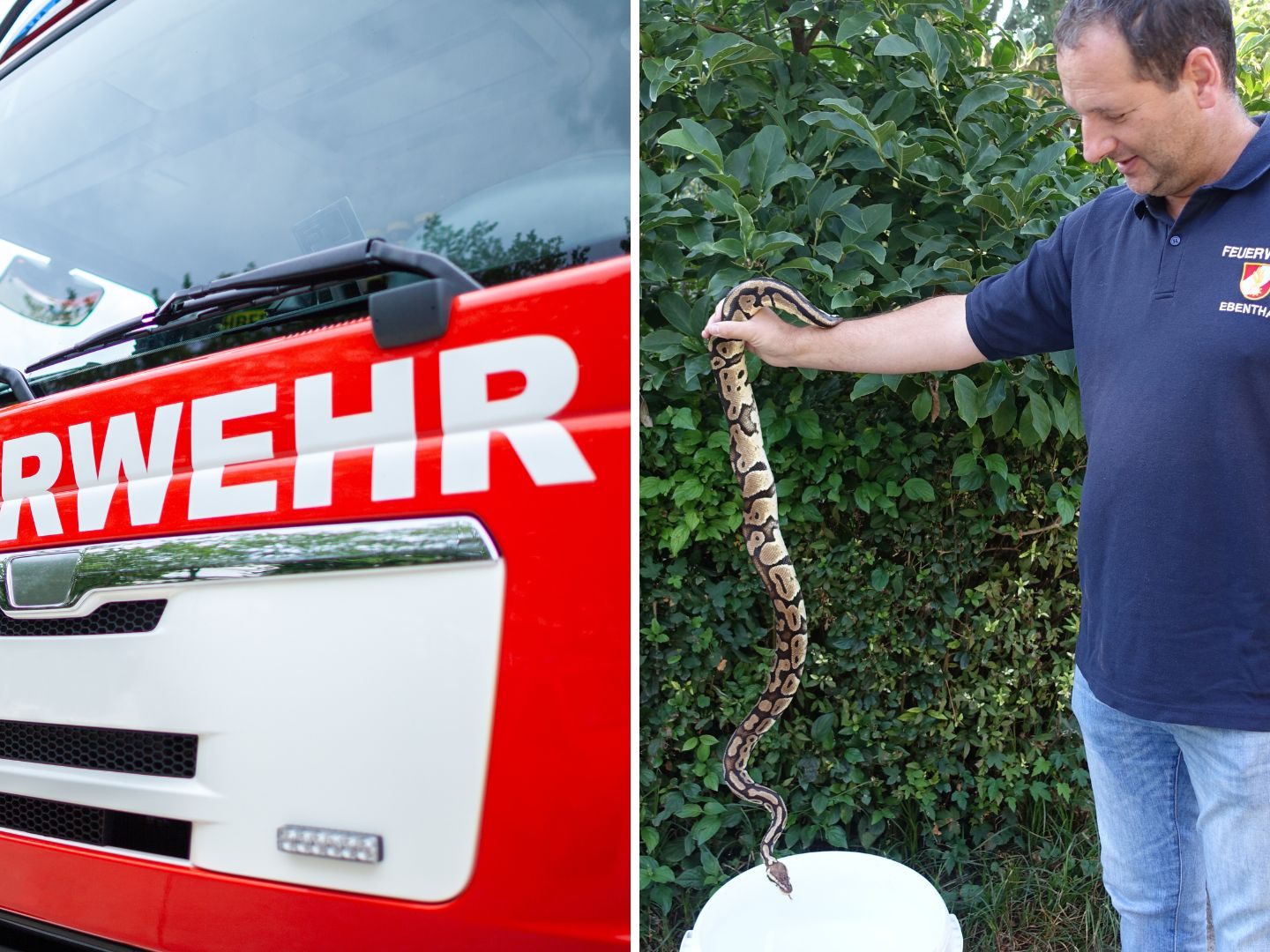 Die Feuerwehr fing die Schlange ein. Die Feuerwehr fing die Schlange ein.