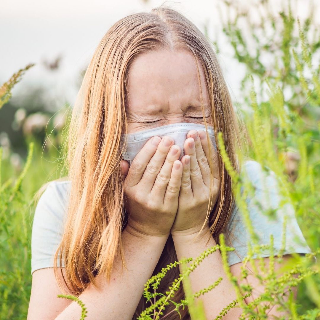 Die Saison für Wiener Pollenallergiker hat sich verlängert.