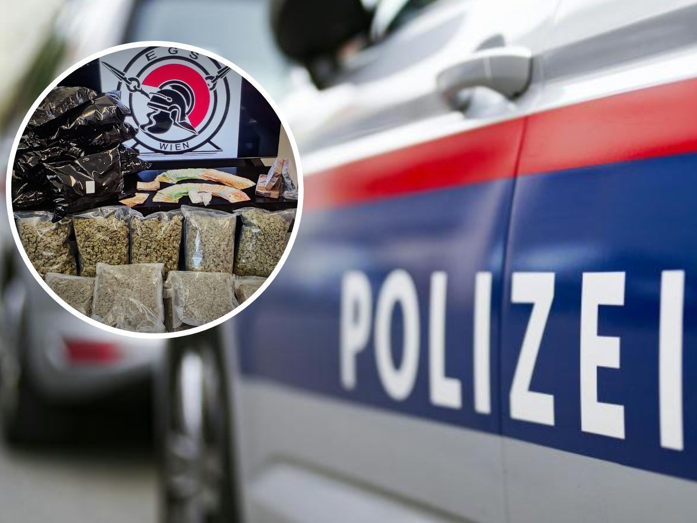Die Wiener Polizei stellte Drogen im Wert von 600.000 Euro sicher. Die Wiener Polizei stellte Drogen im Wert von 600.000 Euro sicher.