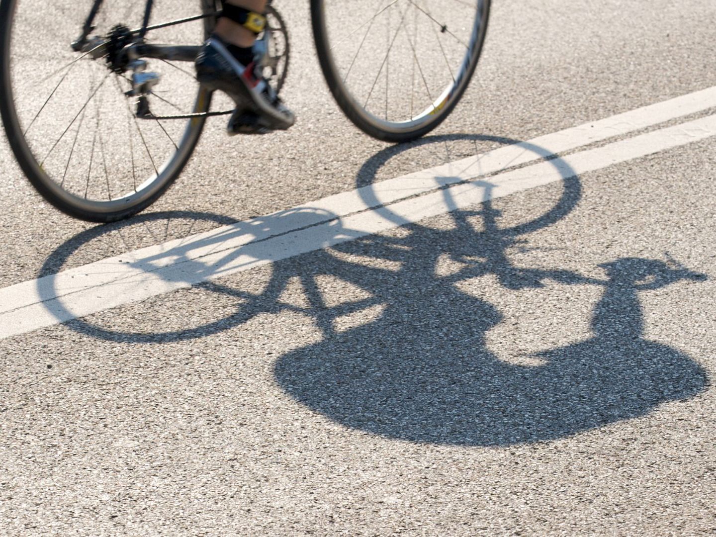 Die 64-jährige Rennradfahrerin wurde von einem Auto erfasst und verstarb noch an Ort und Stelle.