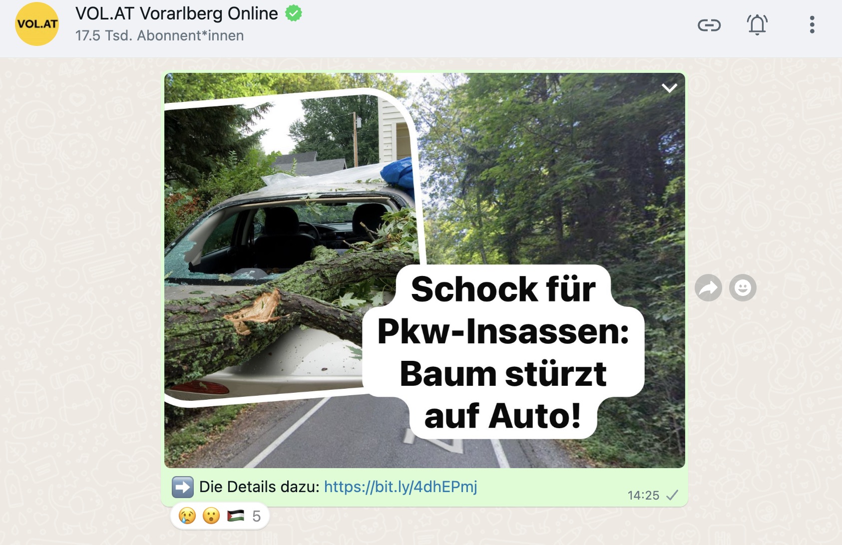 WhatsApp Nachrichten VOL.AT Channel