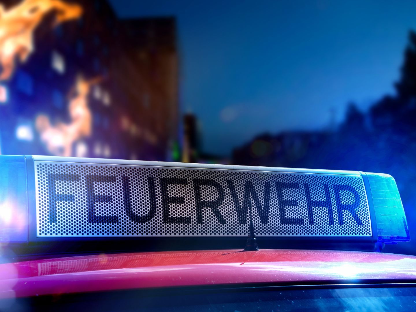 Das Feuer breitete sich auf eine Fläche von ca. 50 Quadratmeter aus. Das Feuer breitete sich auf eine Fläche von ca. 50 Quadratmeter aus.