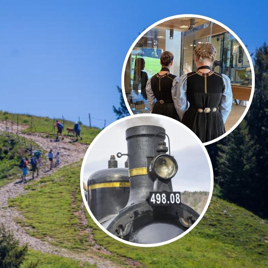 Hier finden Sie die 10 beliebtesten Ausflugsziele im Bregenzerwald!