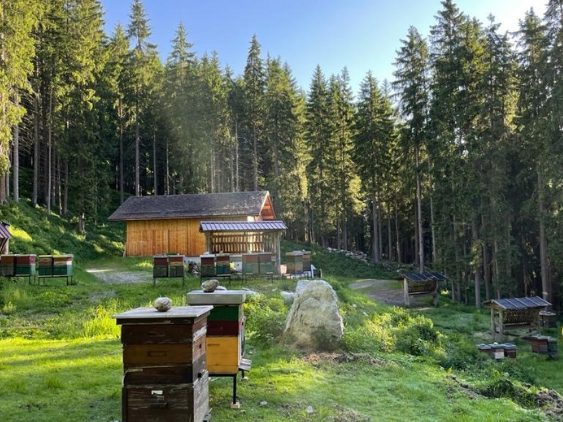 Neuhause Honigmanufaktur