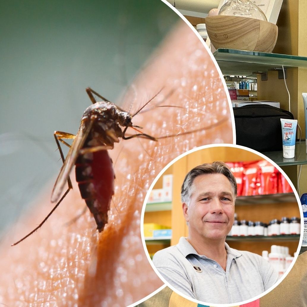 In Teilen Bayern sind Mückenmittelchen bereits ausverkauft – doch wie schaut’s in Vorarlberg aus?